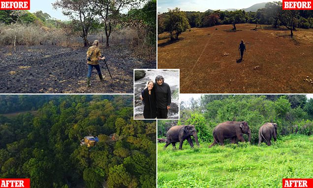 Pecinta Lingkungan Ubah Lahan Tandus Kembali Hijau